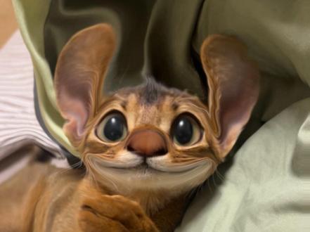 史迪咪p图教程来喽#史迪咪
#星际宝贝史迪奇 #史迪仔 #猫咪#p图教程