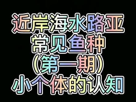 近岸海水路亚常见鱼种(第一期)小个体鱼都很像,别叫错名字#抖音小助手 #创作灵感 #路亚 #创作热词计划