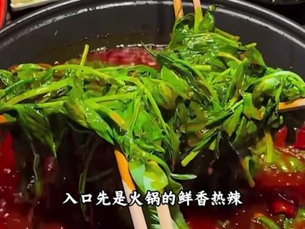 为什么说豌豆颠是冬日里的半壁江山??? #豌豆颠 #冬日 #今天吃了吗 #蔬菜 #科普
