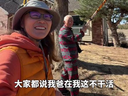 姥爷爱上了砍树,干活专业又靠谱,一下子赚了800美金 #日常vlog #家庭时光