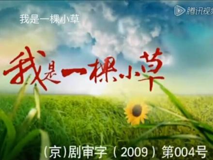 2009年电视剧,我是一棵小草主题曲