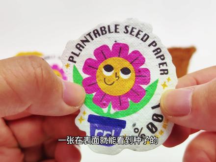 然而第一叶及书签
手残党也不要挣扎了,藏在书里的小绿植过吗?
纸制书签在频繁使用后变得柔软,此时即可把书签种在土里,接着就可以等待一个绿色的植物。
#书签 #植物书签#种子纸#种植#手工书签