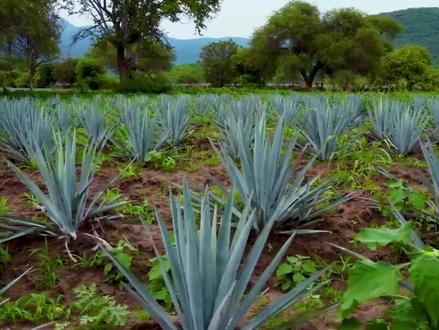 要想赚到钱,必须敢用重仓。#游资 #财经 #方新侠