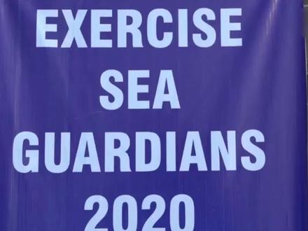 “海洋卫士-2020":中巴海军联合演习拉开帷幕