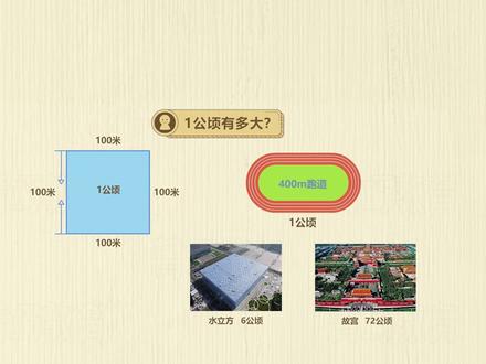 1公顷有多大? #四年级数学 #小学数学 #公顷和平方千米
