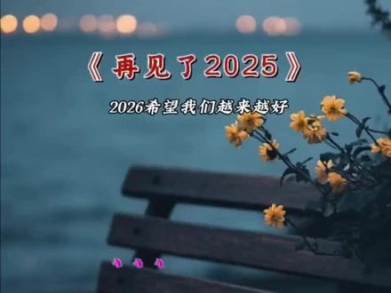 再见2025#窗外 #改编歌曲 #再见2025你好2026