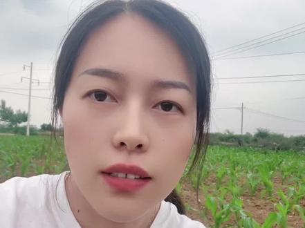 玉米苗后除草剂
✅ 36%硝·烟·莠去津,禾阔双杀
✅ 油悬浮剂剂型,耐雨水冲刷,附着力强,效果稳
✅ 玉米3-5叶期、杂草2-4叶期用,安全又省心#玉米除草 #农村种地 #种地经验分享 #种地日常