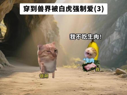 穿兽强宠丨第三集 #猫meme #猫meme小剧场