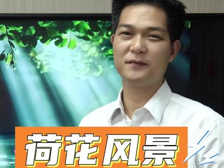 #头像 #微信头像 #社交头像 荷花头像您有吗?