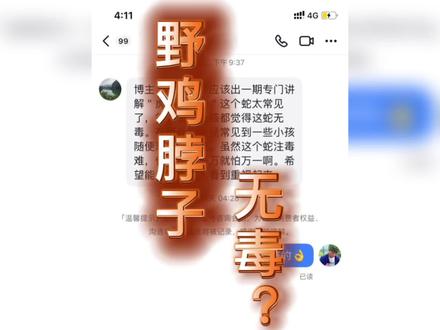 能听懂的 都是对蛇有一定认知的#蛇