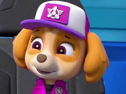 "动画片 "启蒙幼儿早教 "汪汪队立大功