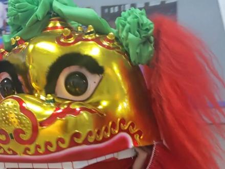 以下是关于北狮的简要介绍:
- 起源与传播:相传起源于1500年前的北魏时代,由胡人从西域传入中原,魏太武帝赐名“北魏瑞狮”,后在北方流传开来,流行于中原以至华北地区。
- 外形装扮:外形与真狮相似,狮头一般为木雕,全身披金黄色狮皮或狮毛,舞者下身穿着和狮被同色的裤子和花靴,只露出双脚。
- 表演形式
- 角色分工:通常由两人合作扮一头大狮,一人扮小狮,另一人扮武士手持狮球引导。
- 舞狮类型:分文狮和武狮,文狮重生活习性展示,动作细腻;武狮重性格刻画,有“高桌技巧”“梅花桩”等套路。
- 动作特点:有跌扑、翻滚、跳跃、搔痒等动作,以及滚绣球、过跳板、上楼台等技巧动作,舞姿注重表现善良与灵巧。
- 配乐特色:配乐以京钹、京锣、京鼓为主,节奏欢快,与动作相配合。
- 文化内涵:狮子在中华文化中象征吉祥如意,舞狮活动寄托着民众消灾除害、求吉纳福的美好意愿,北狮表演通过展现狮子的勇猛剽悍、顽皮活泼,营造热闹喜庆的氛围。
让我们一起了解,学习舞狮,增强文化自信#文化自信 #北狮