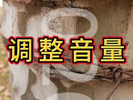 《剪映“音量”调节终极指南:让人声和背景音乐完美配合》#剪映教程 #音乐#剪辑教程 #音量调节#抖加小助手