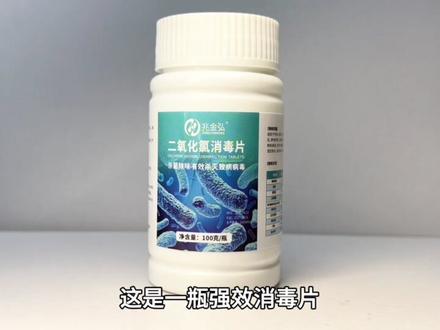 把一只清道夫与消毒片放一起!会发生什么事? #清道夫 #消毒片 #趣味实验 #入侵物种