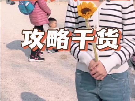 金沙遗址攻略干货#金沙遗址