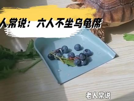 #民间风俗 #民间俗语老人言 传统文化解密:为何六人不坐乌龟席?传统礼仪背后的秘密#
