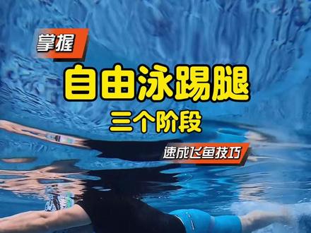 自由泳踢腿 了解三个阶段,让你踢腿不走弯路。#自由泳 #自由泳打腿
