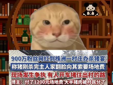 爱猫TV之民风淳朴#拒绝废话#科普#冷知识#省流 #杀猪宴 #民风民俗 #杀猪