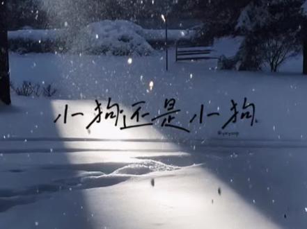 《小狗还是小狗》2
王橹杰笨啊笨…,我今天到家吃完饭就开始剪视频了!在车上也在修改文。大家夸我下好不!#橹穆 #杰丞 #哥狗