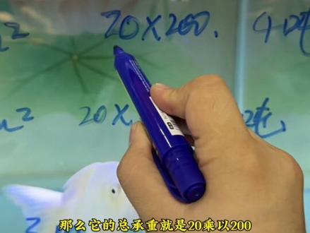 鱼缸能把楼板压塌吗? 鱼缸能把楼板压塌吗?#水族 #知识科普 #养鱼 #鱼缸#说真话