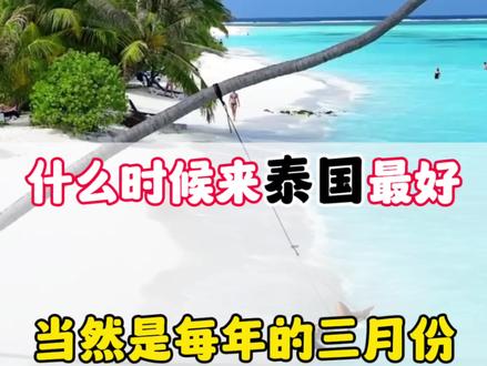 什么时候来泰国最好,当然是每年的3月,来看看我们是怎么玩的吧#泰国旅游攻略 #泰国旅游 #旅行推荐官@抖音小助手