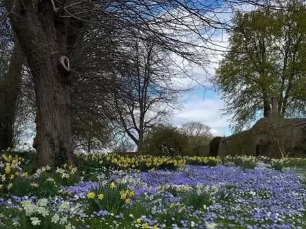 精神独立的重要性#女性觉醒 #女生必看