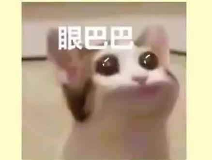 《穿成短命白月光后,和反派HE了》
作者:青花燃
64w字 女配 甜文 穿书 偏执男主 已完结
桑远远💕幽无命
木系治愈伪仙女X暴戾冷血大魔王
这本书虽然是玄幻类型,但是走的是傻白甜沙雕恋爱风,让人全程姨母笑。不管外界怎么评价男主,女主就一直陪在他身边,男主也全身心护着女主。
感情线十分甜蜜,但是也十分搞笑。
女主作为白月光,是仙女一般的存在,但是她经常召唤出大脸花对着自己脸搞蒸拿,骑着像猪头一样的食人花去救人。
#小说推荐 #每日推文 #小说 #拯救书荒 #文荒推荐 #甜文