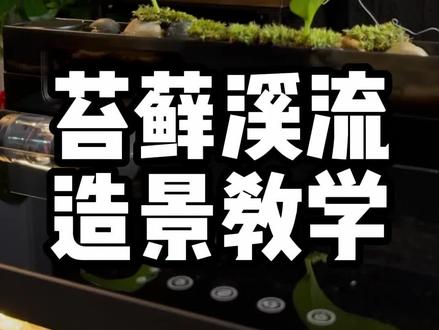 画法几何智能鱼缸m1ultra种植仓造景教学#画法几何智能鱼缸m1ultra