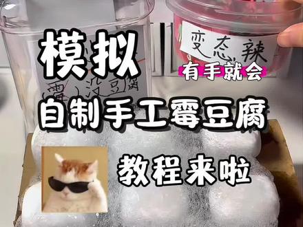模拟自制手工霉豆腐教程 #手工 #解压 #霉豆腐 #解压声控 #儿童手工