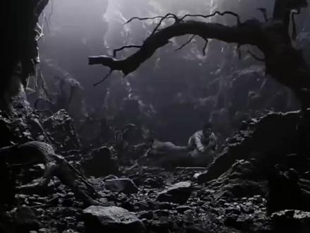 如果恐龙是后来的,那之前谁在统治地球? #动物科普 #科普 #神奇动物在抖音 #石炭纪 #知识前沿派对