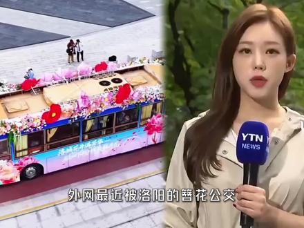 洛阳一辆簪花公交,把外网酸炸了#硬核深度计划 #国际 #老外看中国 #洛阳牡丹甲天下