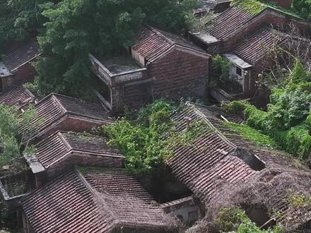 有房无人住,有路无人走,这就是广东肇庆最大的无人村,在2005年仿佛被按下停止键
