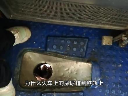 动车上的粪便都去哪里了?像火车一样排到路边吗?这是一期有味道的视频#科普#中视频拉力赛 #硬核知识局 #科普一下 #高铁#涨知识