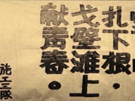 马兰花开的故事,我们还在续写#马兰花