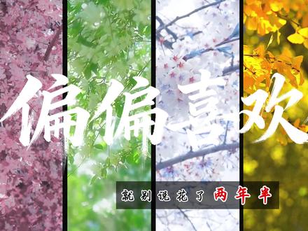 【唯美小说排版】 教程来啦!这么详细你应该会了吧!
#剪辑教程 #小说剪辑 #小说排版 #文字开场 #剪映