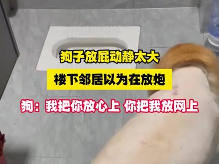 网友:狗老皮肤松,放屁响咚咚。#离谱 #狗狗的迷惑行为