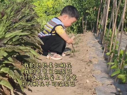 我的妈妈美如鲜花,我的爸爸丑如泥巴,为什么妈妈爱上了爸爸,因为鲜花不能没泥巴