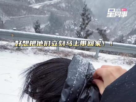 明星拎帽cha个个都是小萌物来的!#干嘛拎我帽子 #檀健次 #王俊凯 #宋亚轩 #贺峻霖