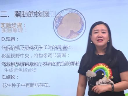 翟思茗-高中生物必修1-蛋白质的检测-双缩脲