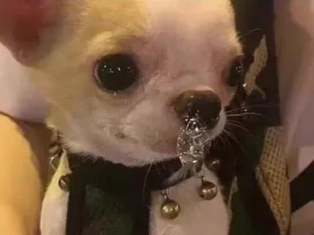 关于“调频”的骗局 吐槽下“调频”文案,像“把他调到只爱你”“主动付出拉满让他爆金币”这类说法,完完全全是利用大家在感情里的幻想和对物质的贪念来忽悠人。有人觉得做完“调频”感情变好了,其实大概率只是巧合。处于情感纠葛中的两个人,本就会因各种因素保持联系,对方偶尔的主动示好、给个好脸色,这都是感情发展中的正常情况,甚至还有可能是伪造的效果。很多人以为是“调频”起作用,其实说不定是自己内心强烈渴望,在吸引力法则下产生了显化效果。就算“调频”看似有效果,那也只是暂时的,解决不了根本问题。咱塔罗占卜虽说有点玄乎,但也有自己的逻辑和依据,可不像“调频”这种毫无根据的骗局,大家千万别被“调频”忽悠,努力提升自己才是获得幸福感情和财富的正道 。#调频 #塔罗测试 #分手复合 #骗局揭秘