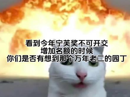 我真的活过那年疫情了吗。#宁芙奖 #园丁宁芙奖 #约孩囚 #无奈和心酸