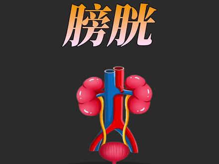 相信这个器官大家很熟悉#医学科普 #涨知识 #健康科普