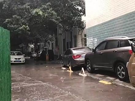 烧的面无全班,听说是消防管道没有水,事故原因就是电线然烧引起的