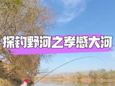 探钓野河之孝感大河、只要出来钓鱼、几条鱼也能玩一下午#dou是钓鱼人 #入冬钓鱼指南