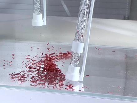 气举吸便器需要自行准备增氧泵,气量建议4L/min或以上,虹吸的可以直接启动,鱼友们觉得哪种更好?#气举吸便器 #气举鱼便收集器 #鱼缸吸便神器 #鱼缸清洁