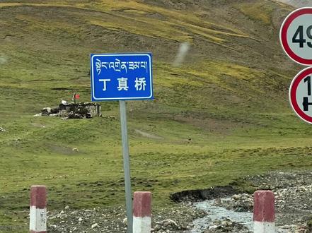 谁人不识理塘王#理塘丁真