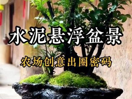 悬浮盆景你见过吗?#规划设计 #创意设计 #营地规划 #农场规划 #盆景艺术