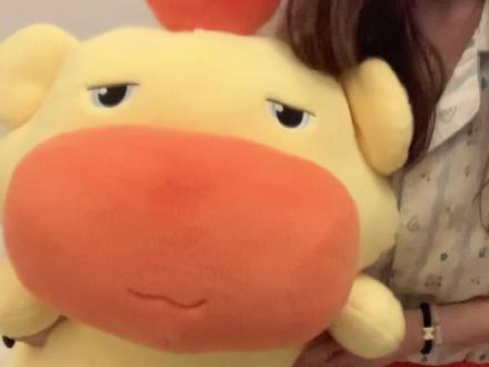 还是噜噜的裤衩子好穿#水豚噜噜 #搞笑女 #毛绒公仔