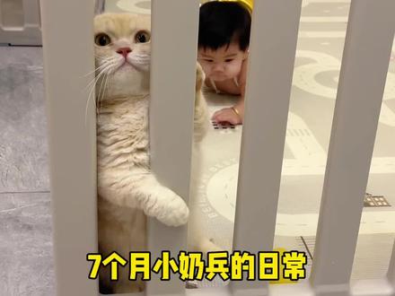 7个月小奶兵的日常 #卓睿小奶兵请求检阅 #萌娃和萌宠 #宠物和孩子