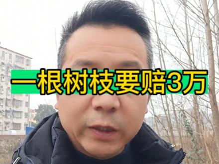 一根树枝要赔3万块,开车一定要小心谨慎,说不定你身边就有几十万的树或者几十万的宠物。#2022即将结束🔚希望2023一切安好 #三者险有必要买吗